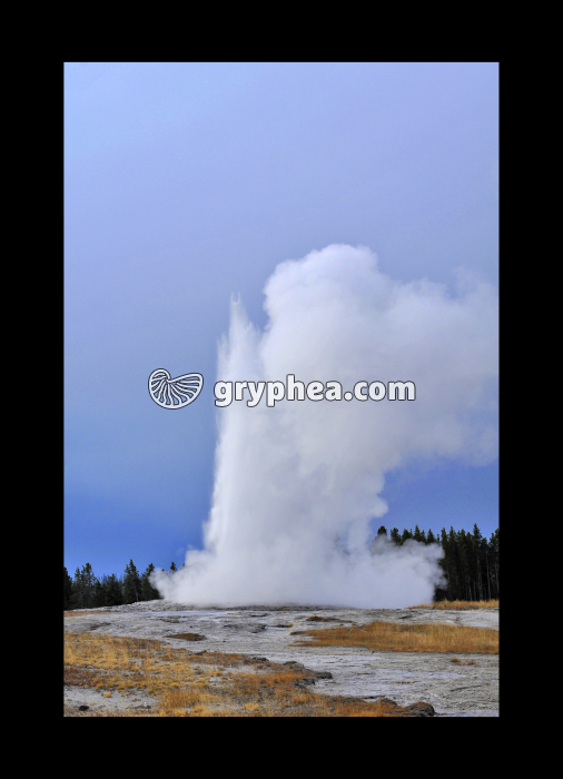 Geyser de Old Faithful (Yellowstone NP, Wyoming, USA) - gryphea.com